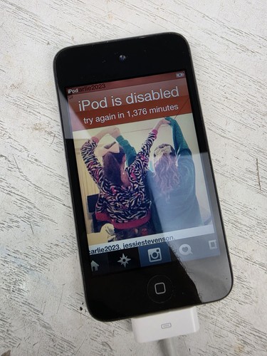 Apple ipod touch 4th - touch,